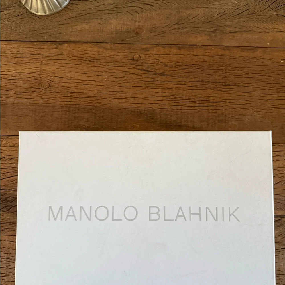 Manolo Blahnik Lace Hangisi Flats in Nude - Picture 7 of 9